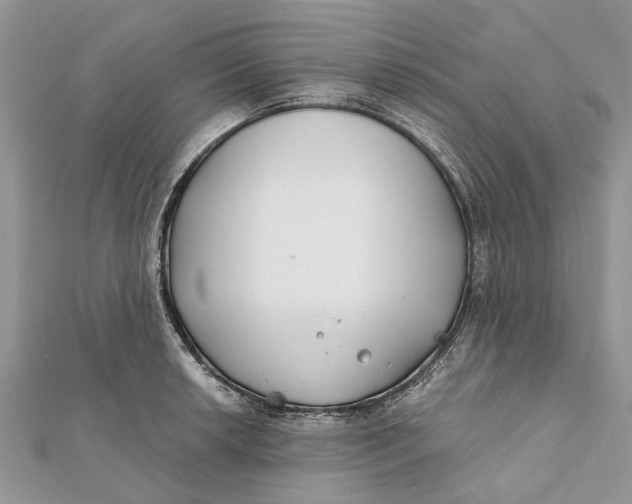 X0000112181042200908281357