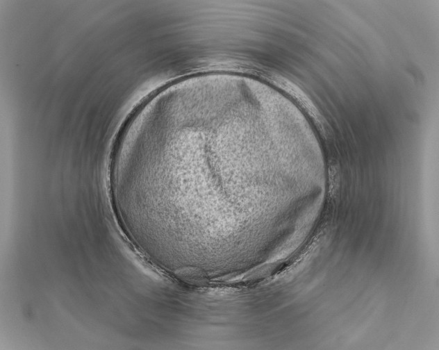 X0000112181043200908281357