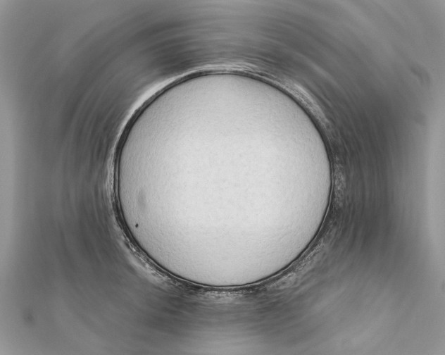 X0000112181044200908281357