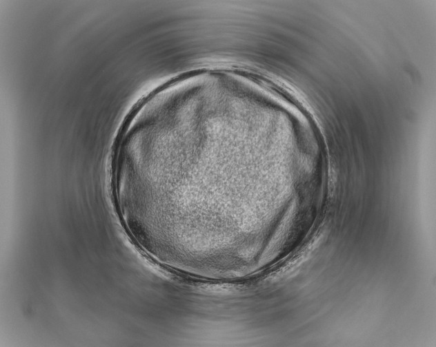 X0000112181045200908281357