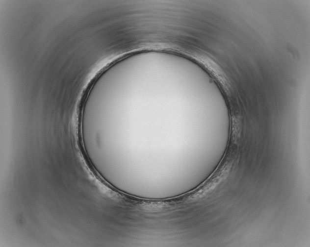 X0000112181046200908281357