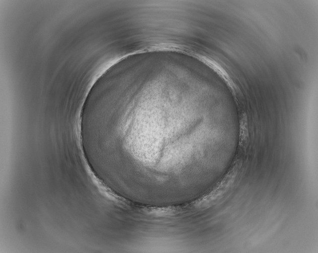 X0000112181047200908281357