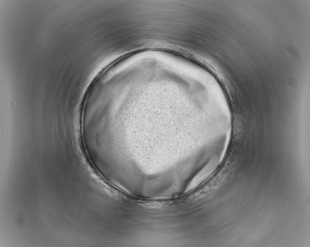 X0000112181048200908281357