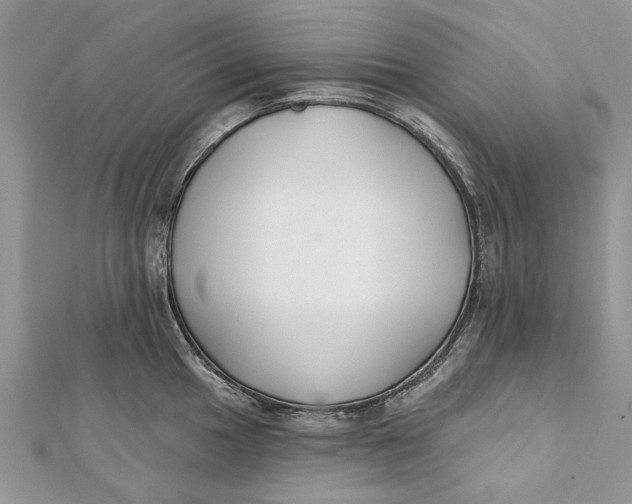 X0000112181049200908281357