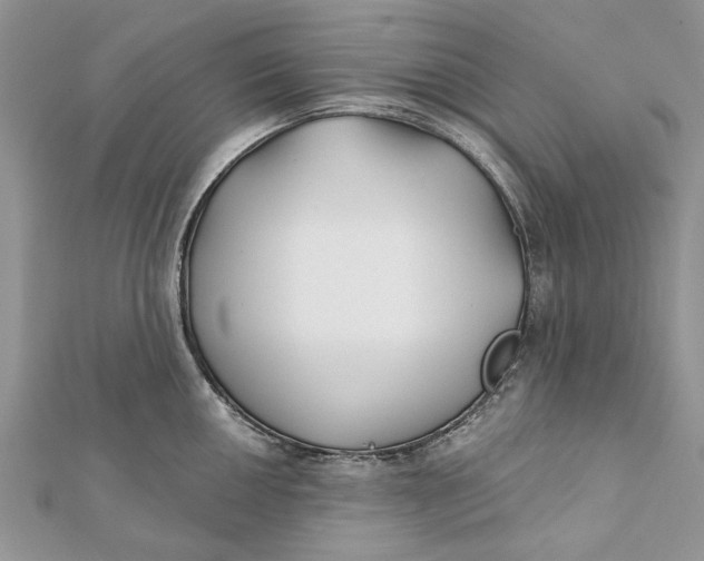 X0000112181050200908281357