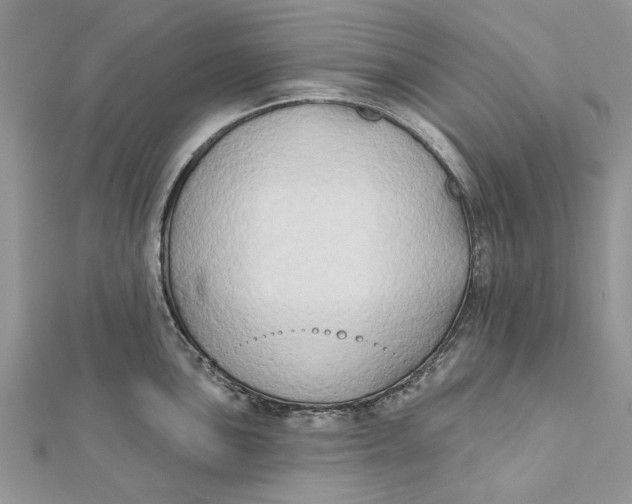 X0000112181051200908281357