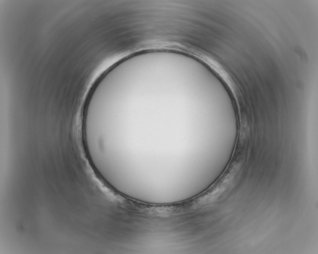 X0000112181053200908281357