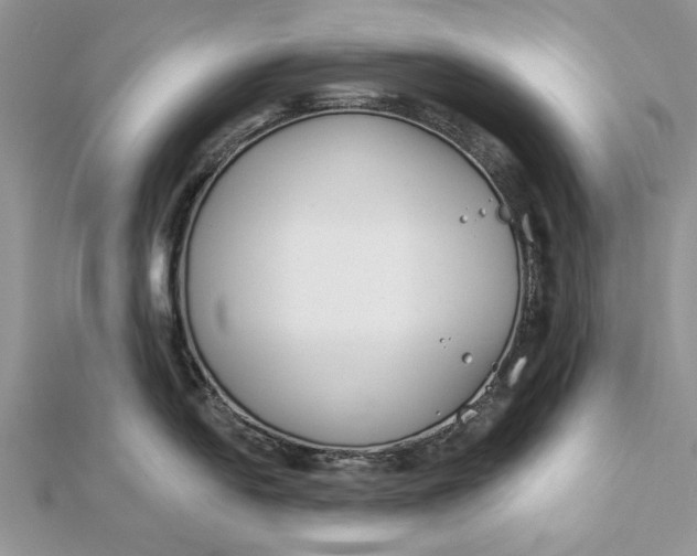 X0000112181054200908281357