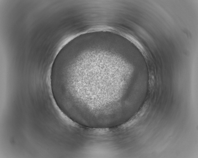 X0000112181055200908281357