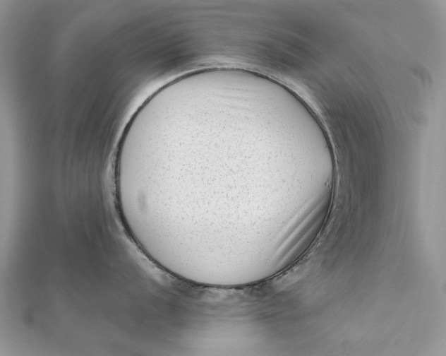 X0000112181056200908281357