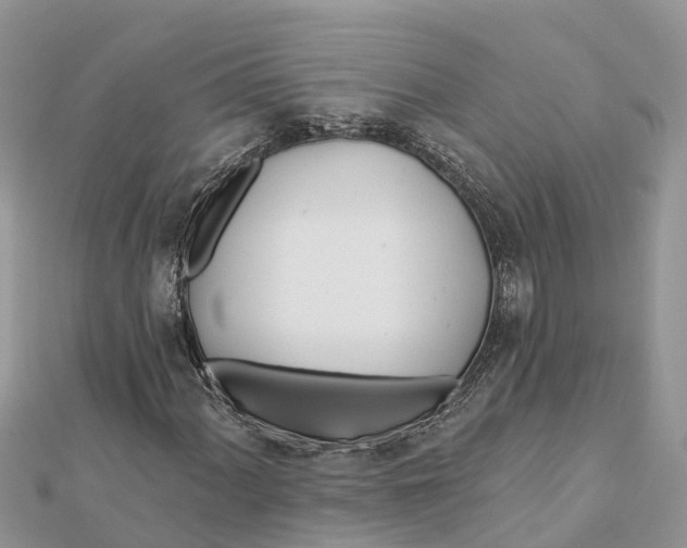 X0000112181060200908281357