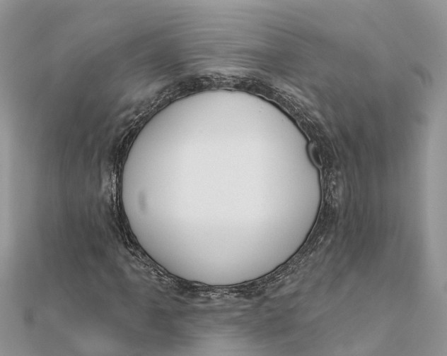 X0000112181061200908281357