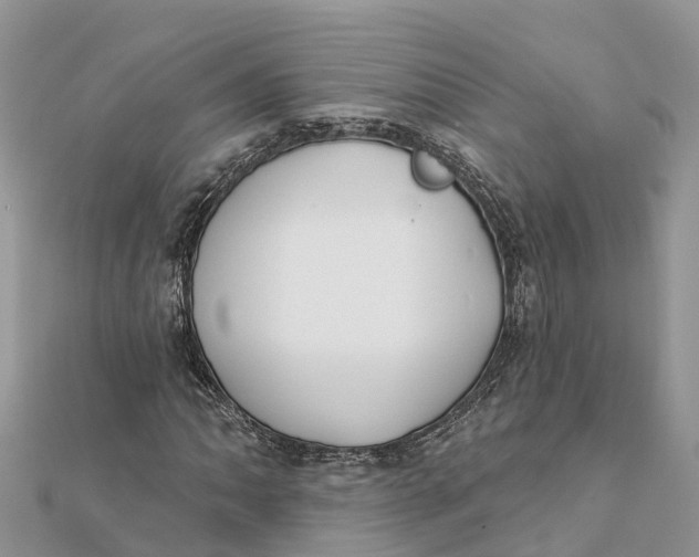 X0000112181062200908281356