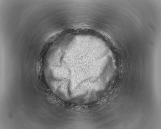 X0000112181063200908281356