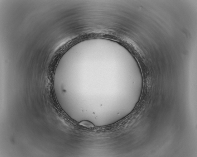 X0000112181064200908281356