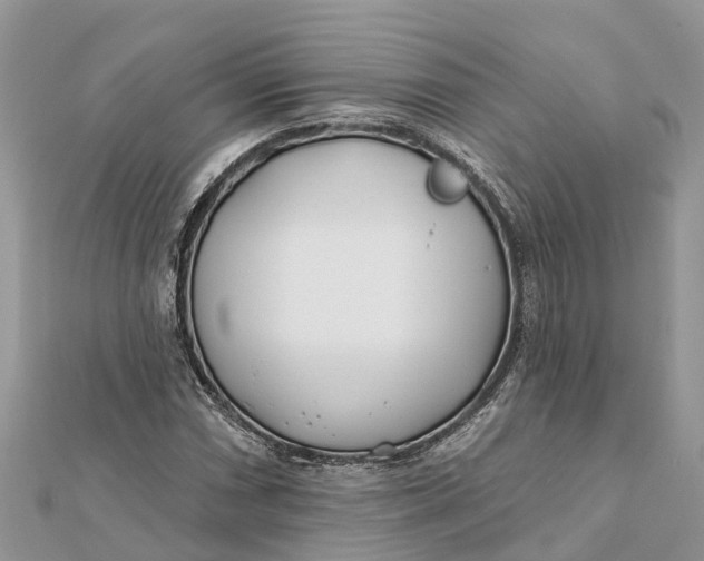 X0000112181066200908281356