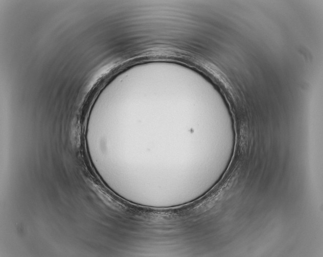 X0000112181067200908281356