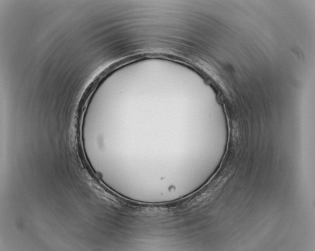 X0000112181068200908281356