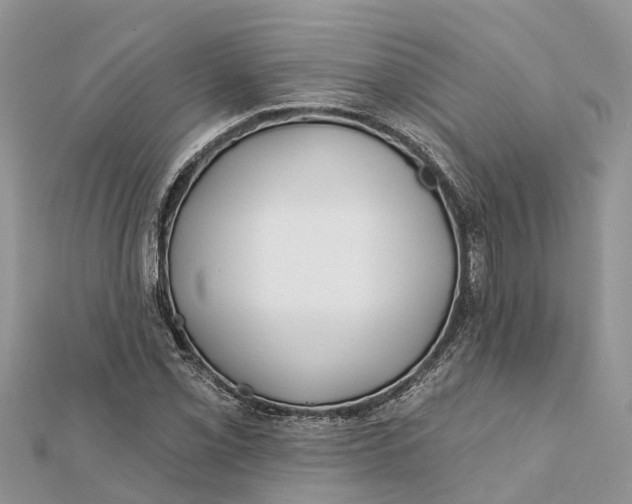 X0000112181069200908281356