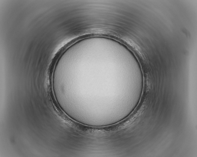 X0000112181070200908281356