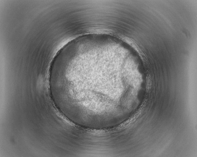 X0000112181071200908281356