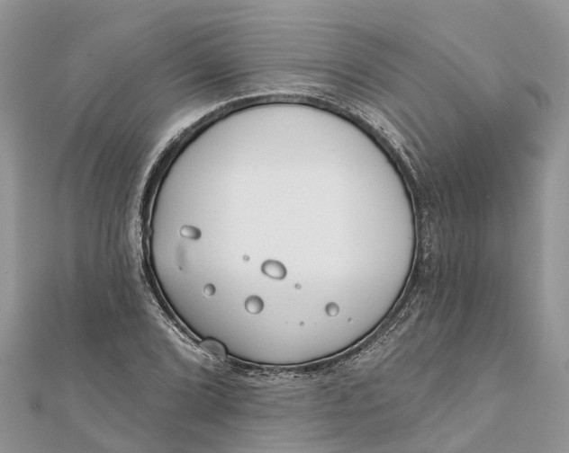 X0000112181072200908281356