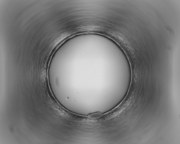 X0000112181073200908281356