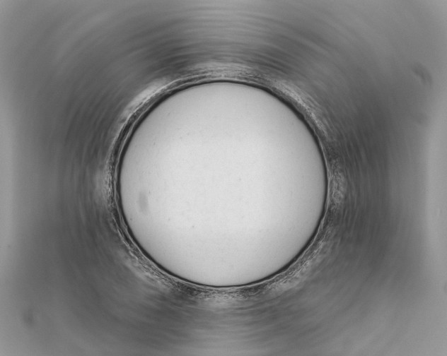 X0000112181074200908281356