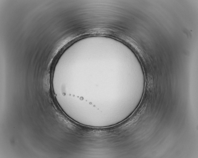 X0000112181075200908281356