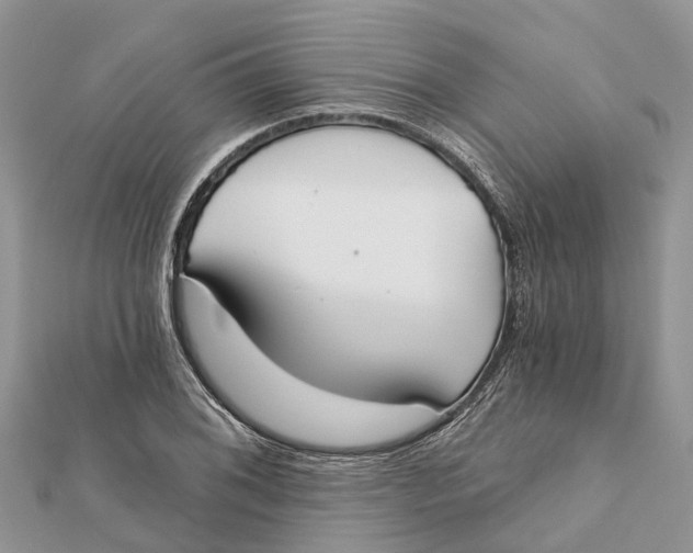 X0000112181076200908281356