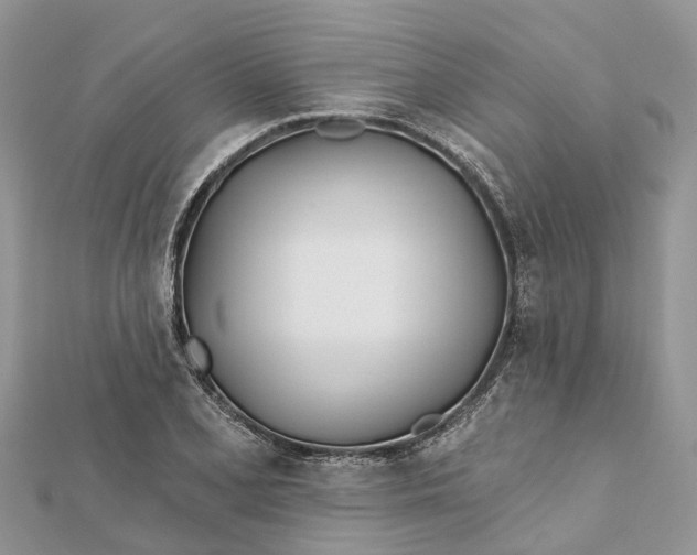 X0000112181077200908281356