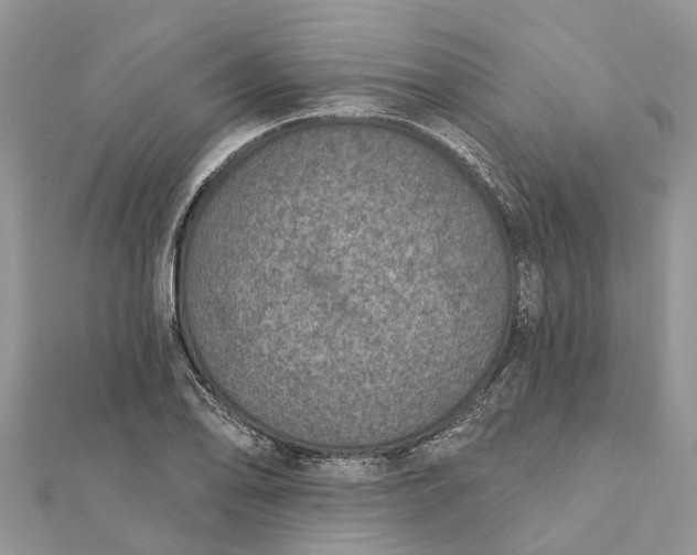 X0000112181078200908281356