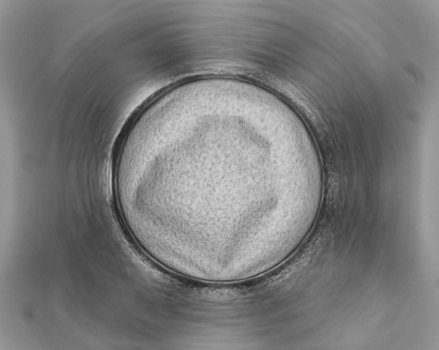 X0000112181079200908281356