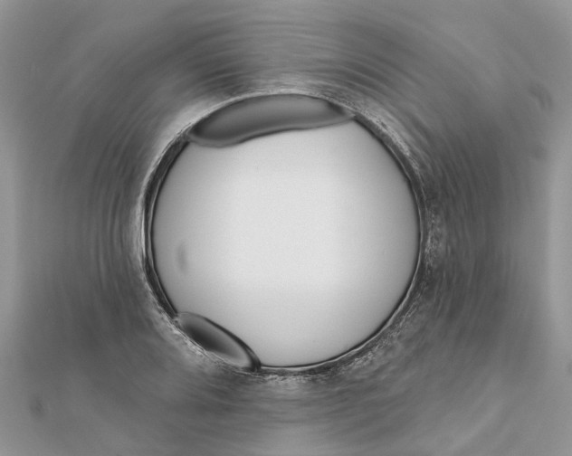 X0000112181080200908281356