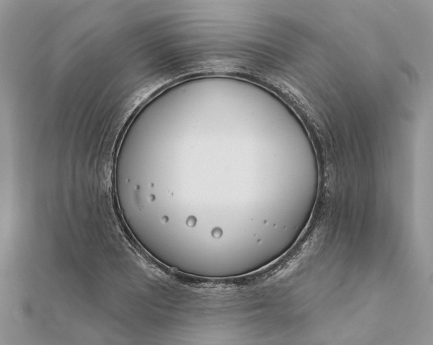 X0000112181081200908281356