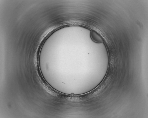 X0000112181082200908281356