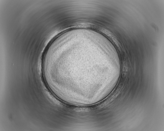 X0000112181083200908281356