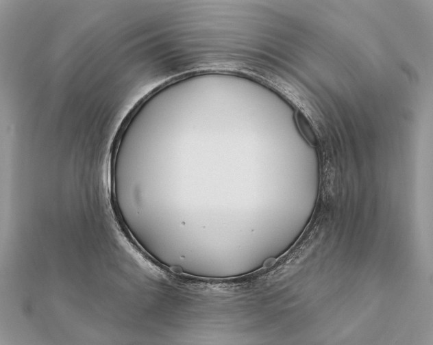 X0000112181084200908281356