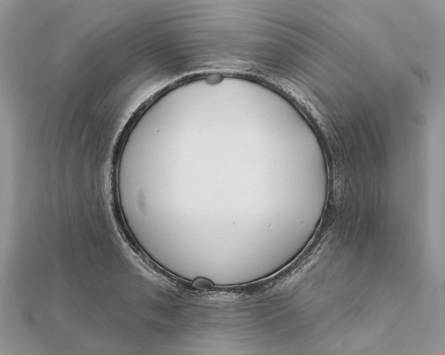 X0000112181085200908281356