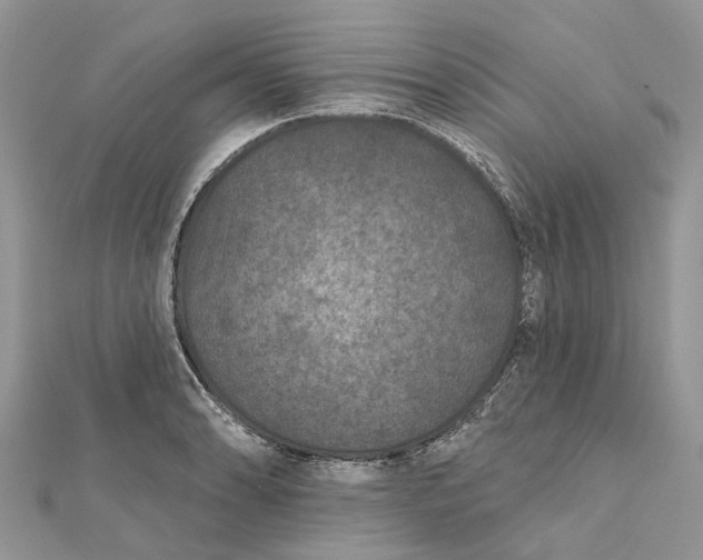 X0000112181086200908281356