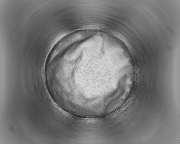 X0000112181087200908281356