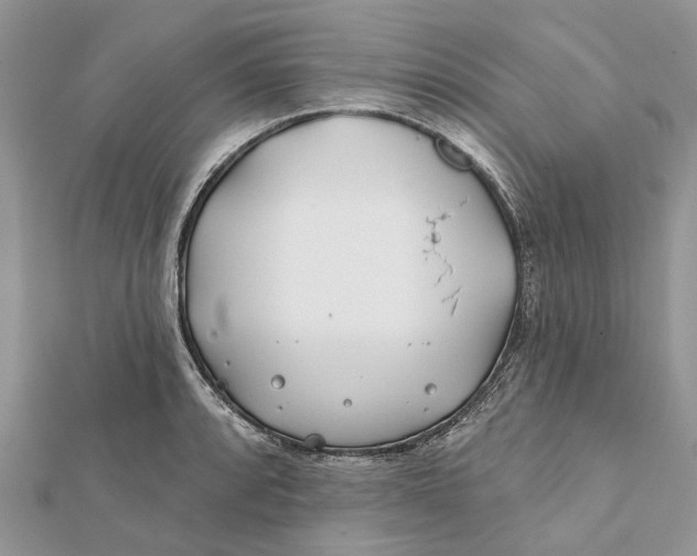 X0000112181088200908281356