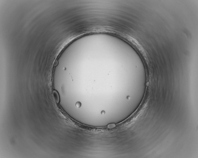 X0000112181089200908281356