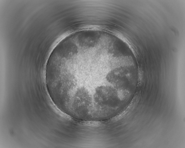 X0000112181090200908281356