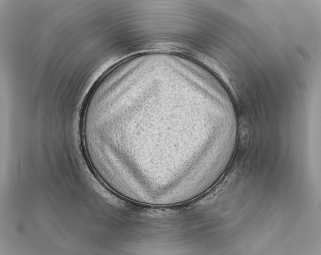 X0000112181091200908281356