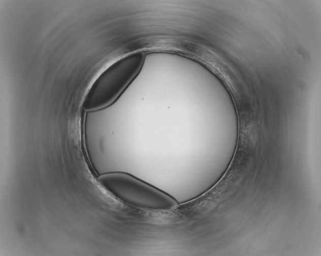 X0000112181092200908281356