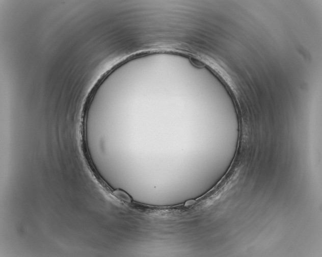 X0000112181093200908281356