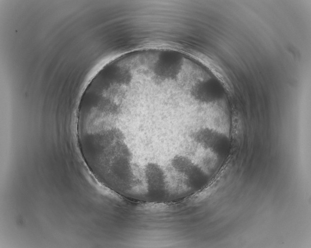 X0000112181094200908281356