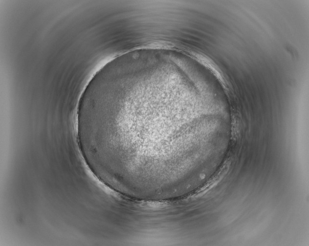 X0000112181095200908281356