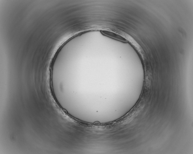 X0000112181096200908281356